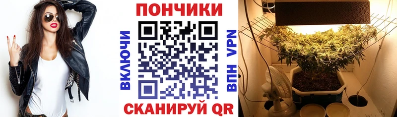 Каннабис OG Kush  Купить  Ипатово 